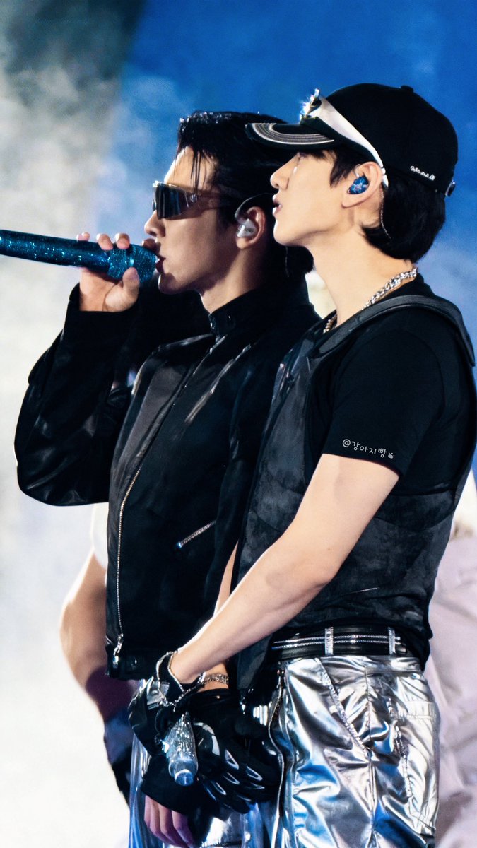 강아지빵 tweet media