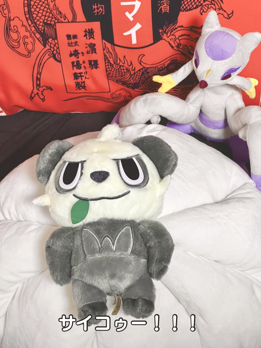 コジョンド老師と弟子のコジョフー tweet media