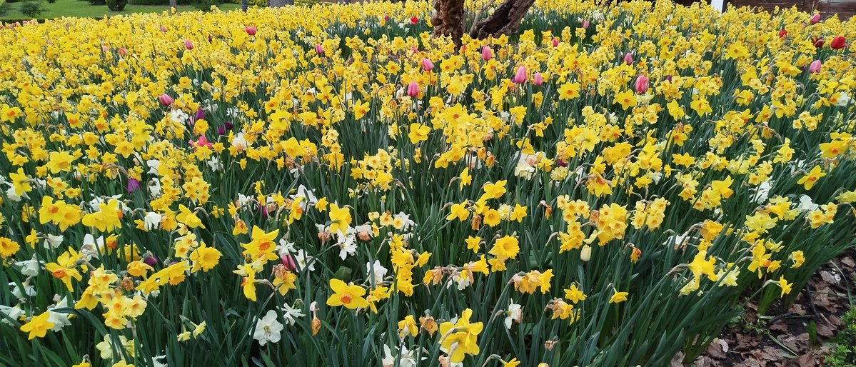 #Primavera
#Udaberria
#Pamplona