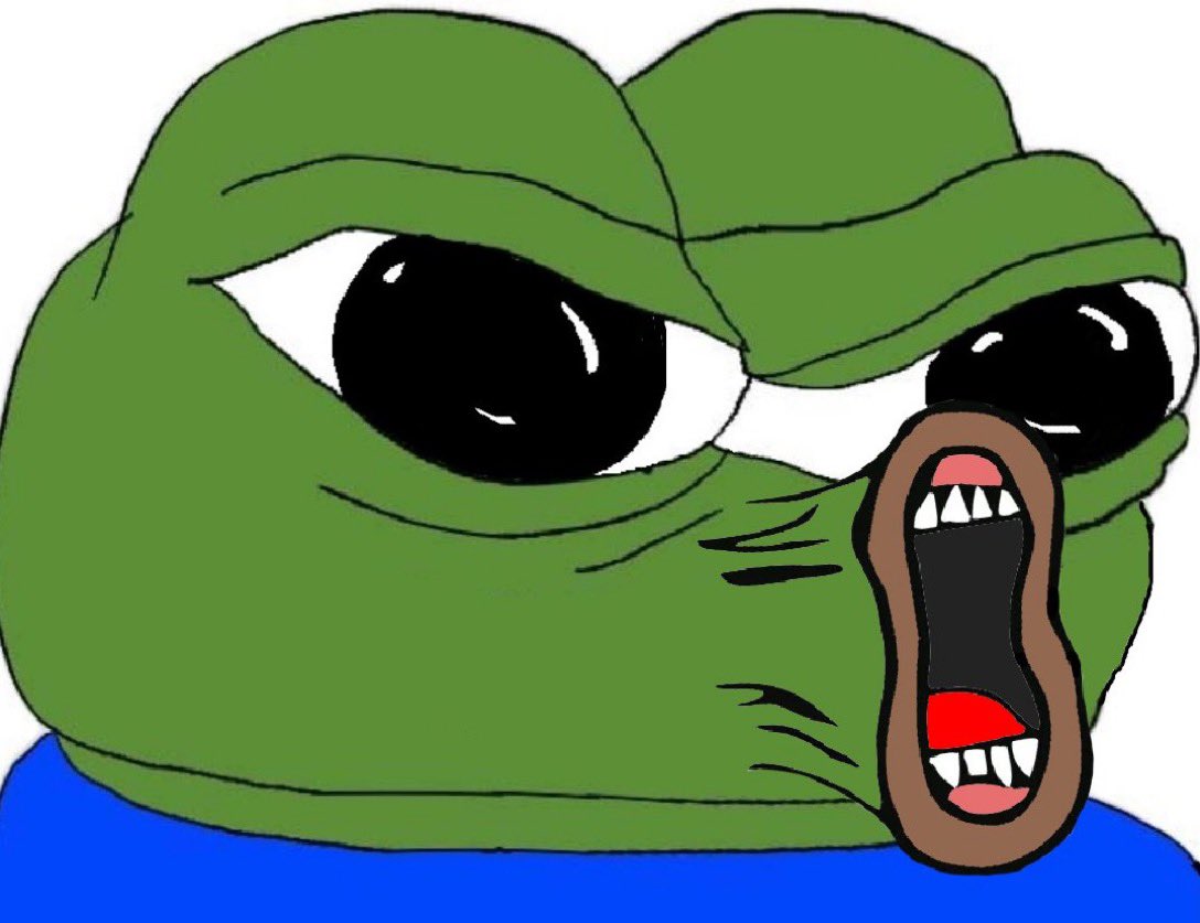 Mr.dirtySanchez tweet media