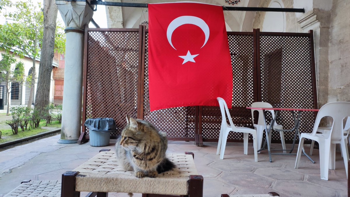 LayyLayyLom tweet media