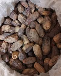 د. فايز أبو شمالة tweet media