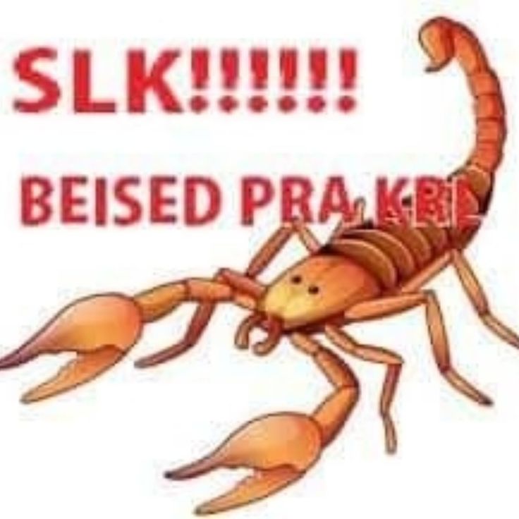 Allan_star🔞 tweet media