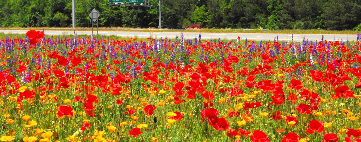 Give A Shit About Nature tweet media