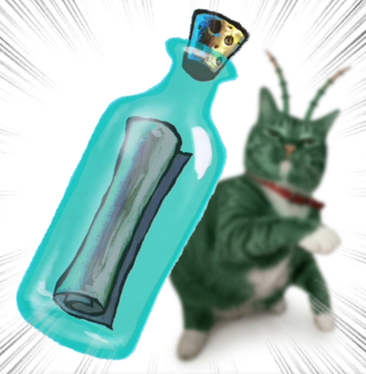 Throwing Things Daily tweet media