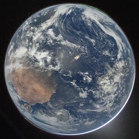 OLIVERMIKE FINGER FOODS tweet media