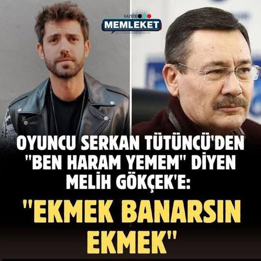 Albayim⭐️⭐️⭐️ tweet media