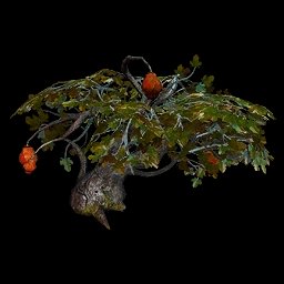 JackieJam (🇲🇽/🇺🇸) tweet media