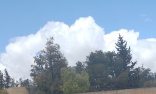 مـيـﮯسـآء {ريہمہآسہ﴾ŘĮϻẸŜŜ Ⓡⓘⓜⓞⓤ tweet media