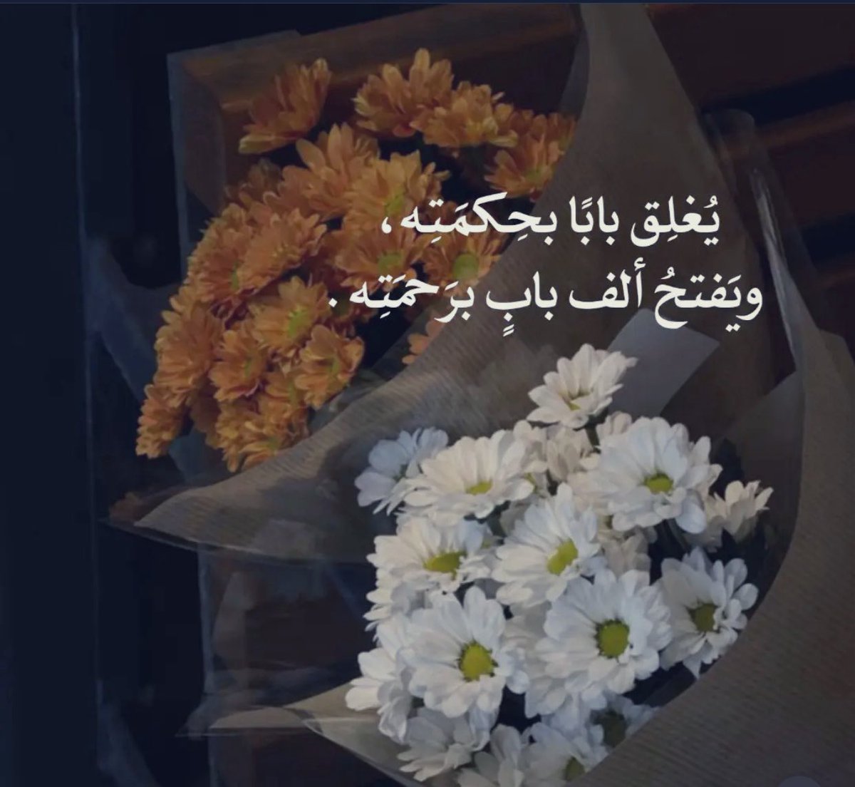 ‎ ‏﮼عيون،الغلا tweet media