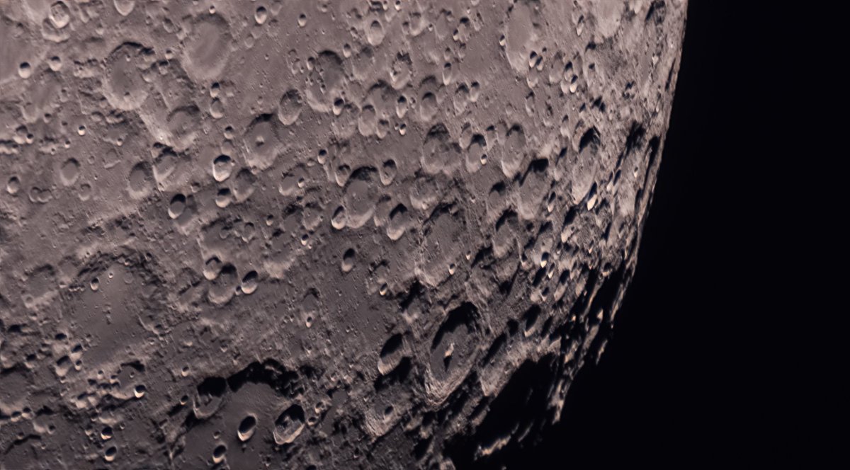 Tombibiche tweet media