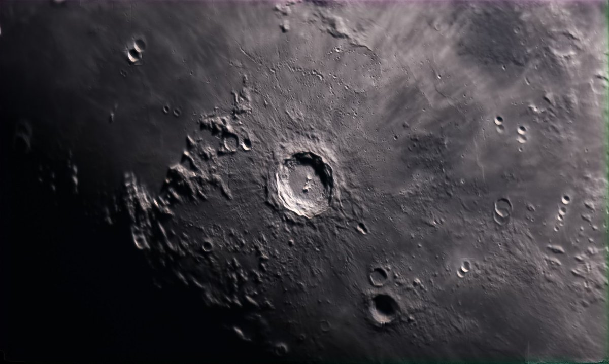 Tombibiche tweet media