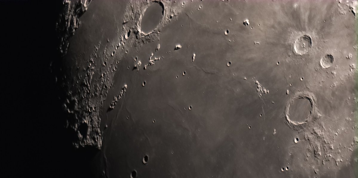 Tombibiche tweet media