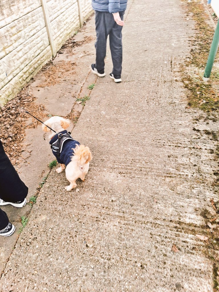 Paul 🤓 🇬🇧 🏴󠁧󠁢󠁳󠁣󠁴󠁿 tweet media