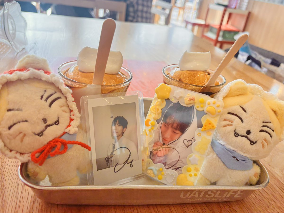 서냥이😽 tweet media