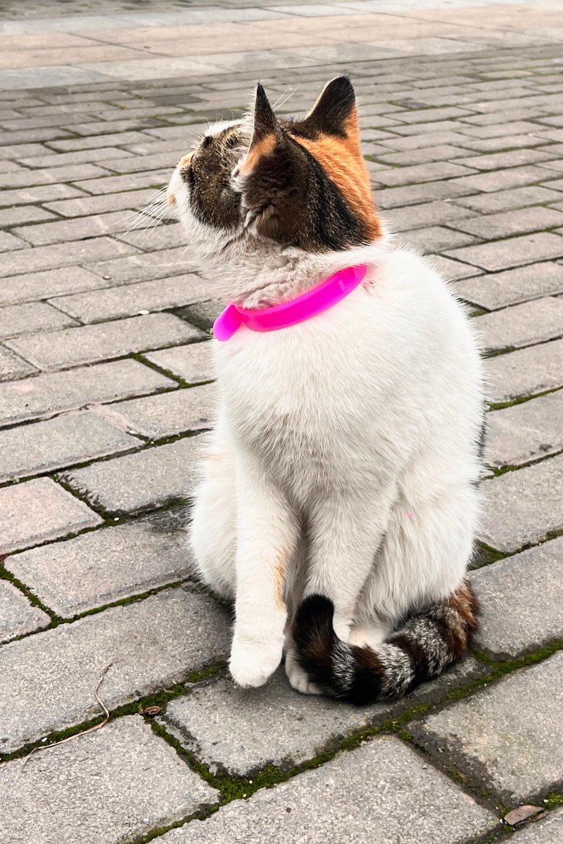 Md Juned tweet media