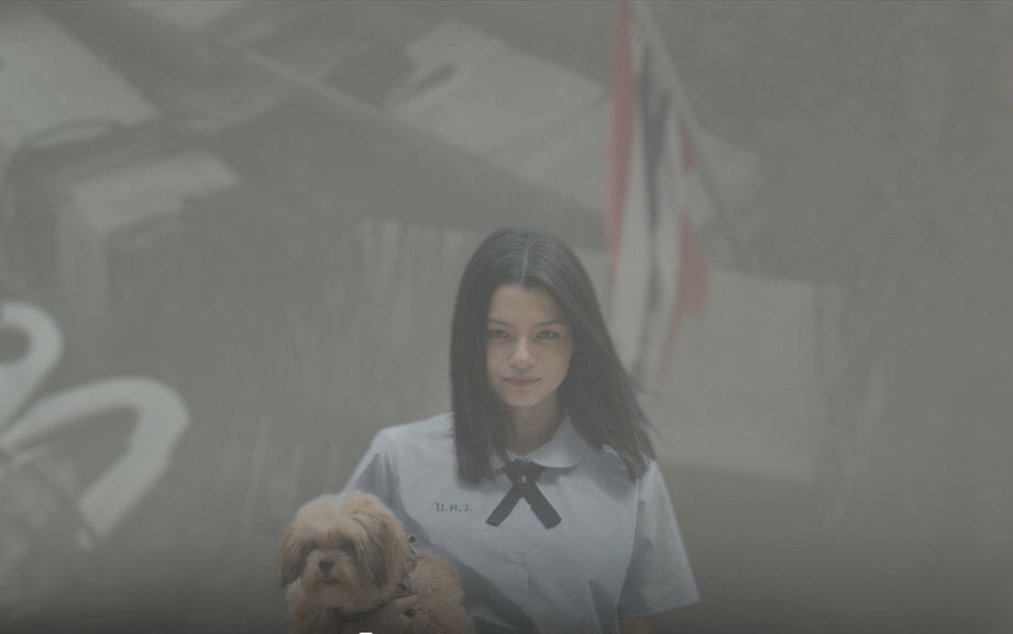 ✿ ด๊อบบี้กับมูฟวี่ของเขา シ tweet media