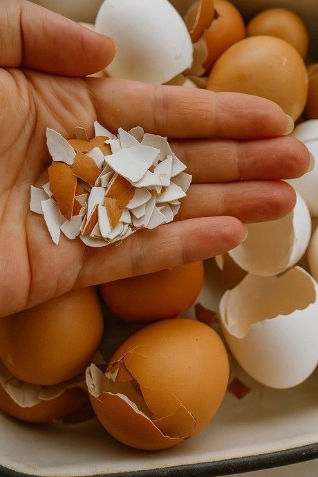 Karim A Nesr tweet media