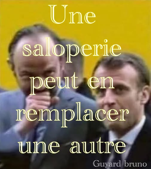 Fleur Morel tweet media