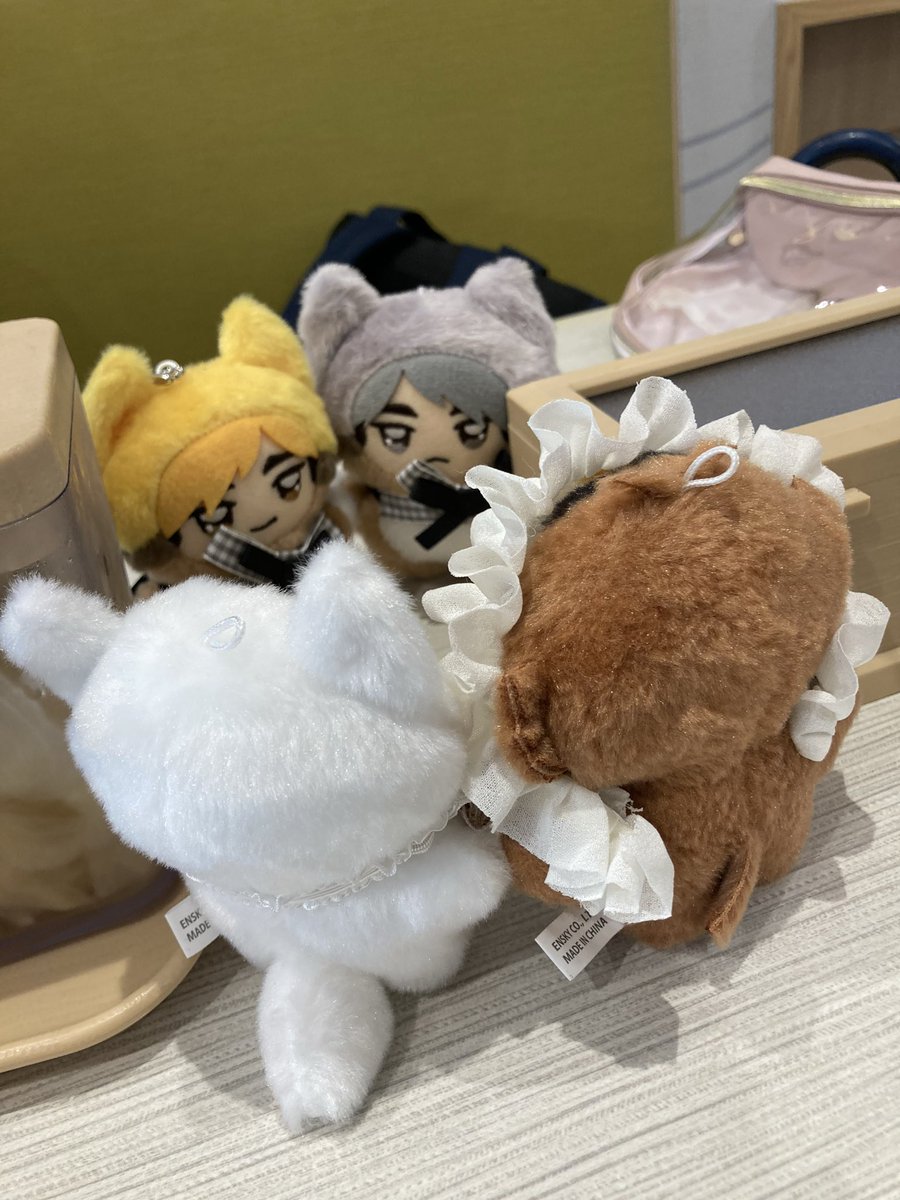 彩羽(いろは)🦙🍠 tweet media