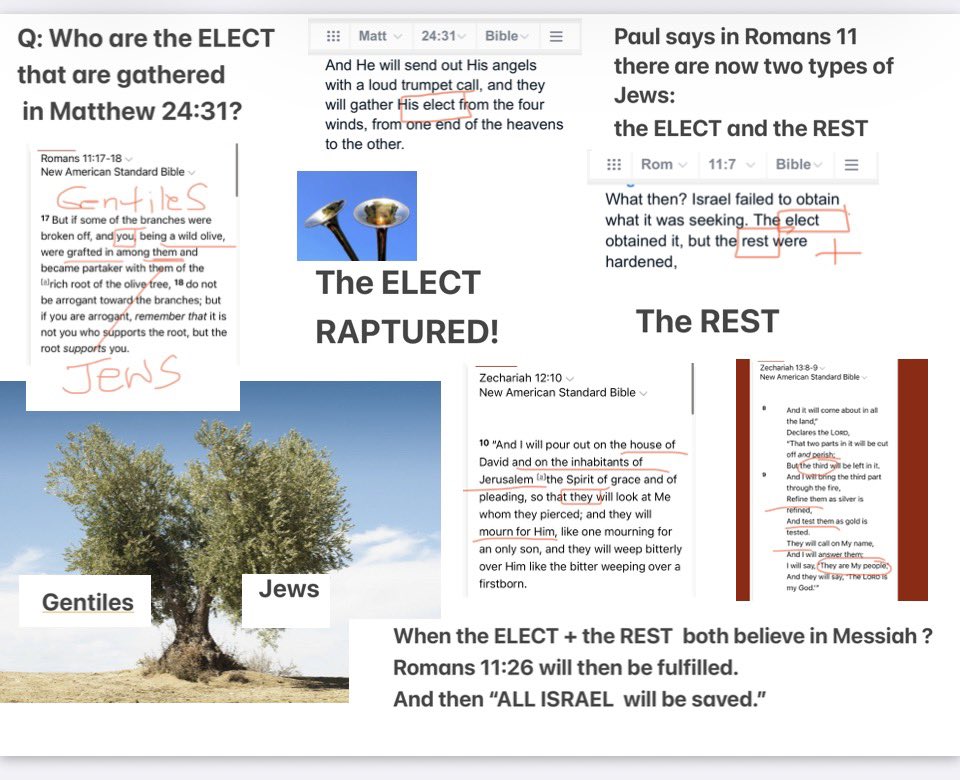 BrunoBarking tweet media