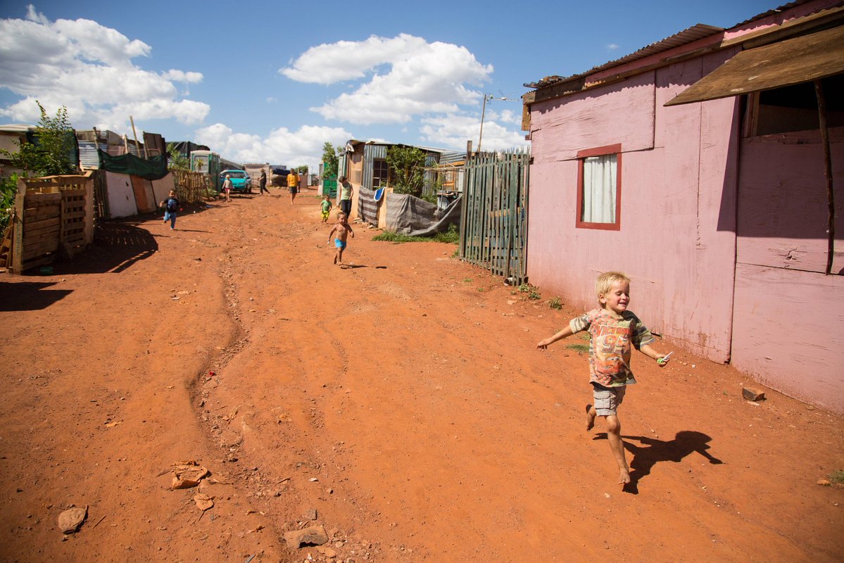 Lokshin Black tweet media