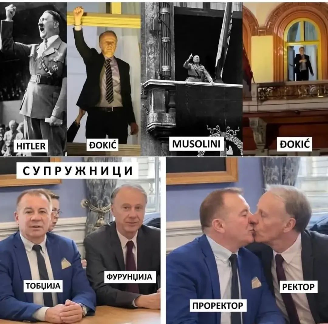 Sara Milosavljević tweet media