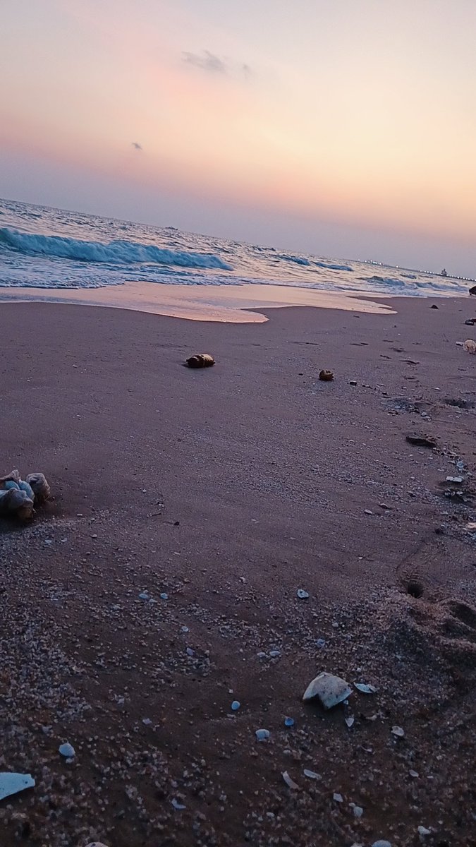 MissMay maya tweet media