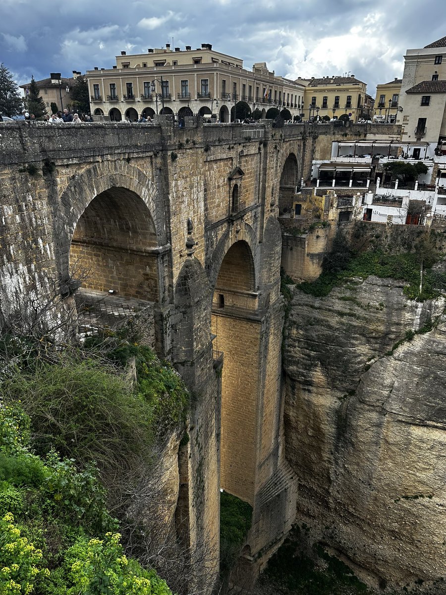 Alex Jackson tweet media