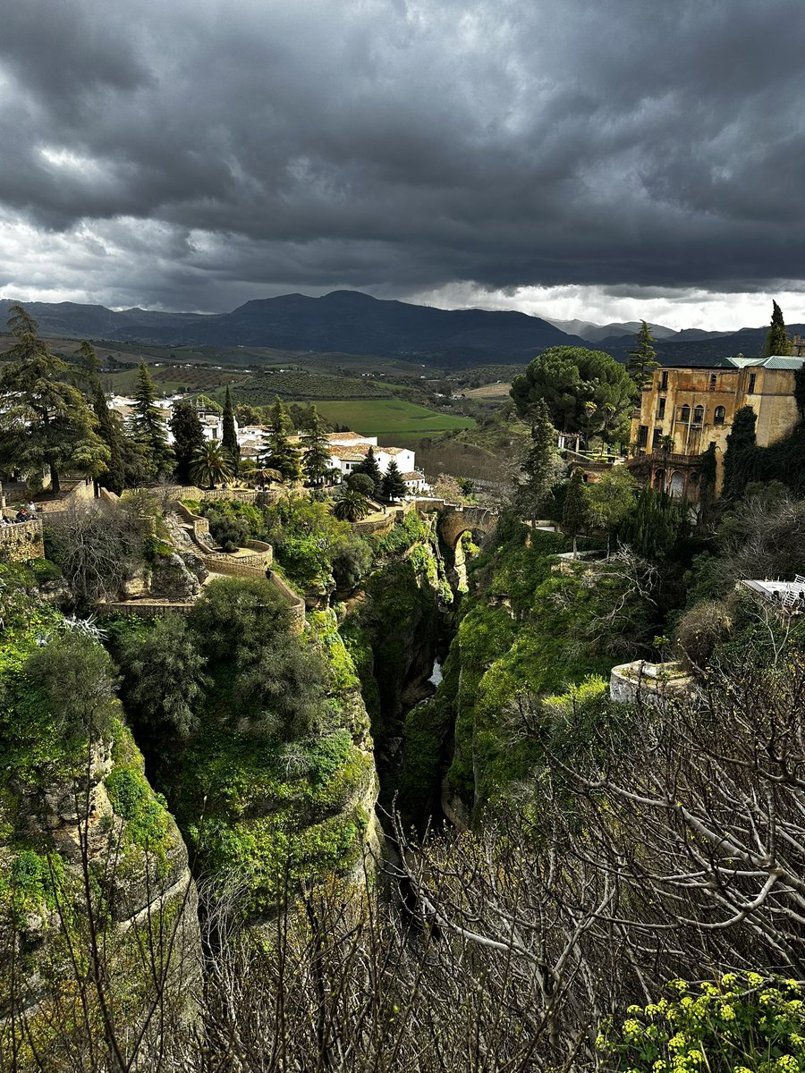 Alex Jackson tweet media