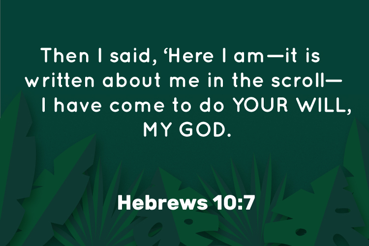 Trinity Lie tweet media