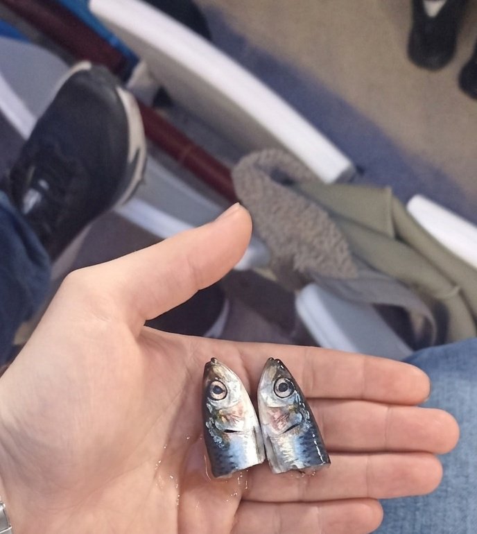 Georgios Trapezuntios tweet media