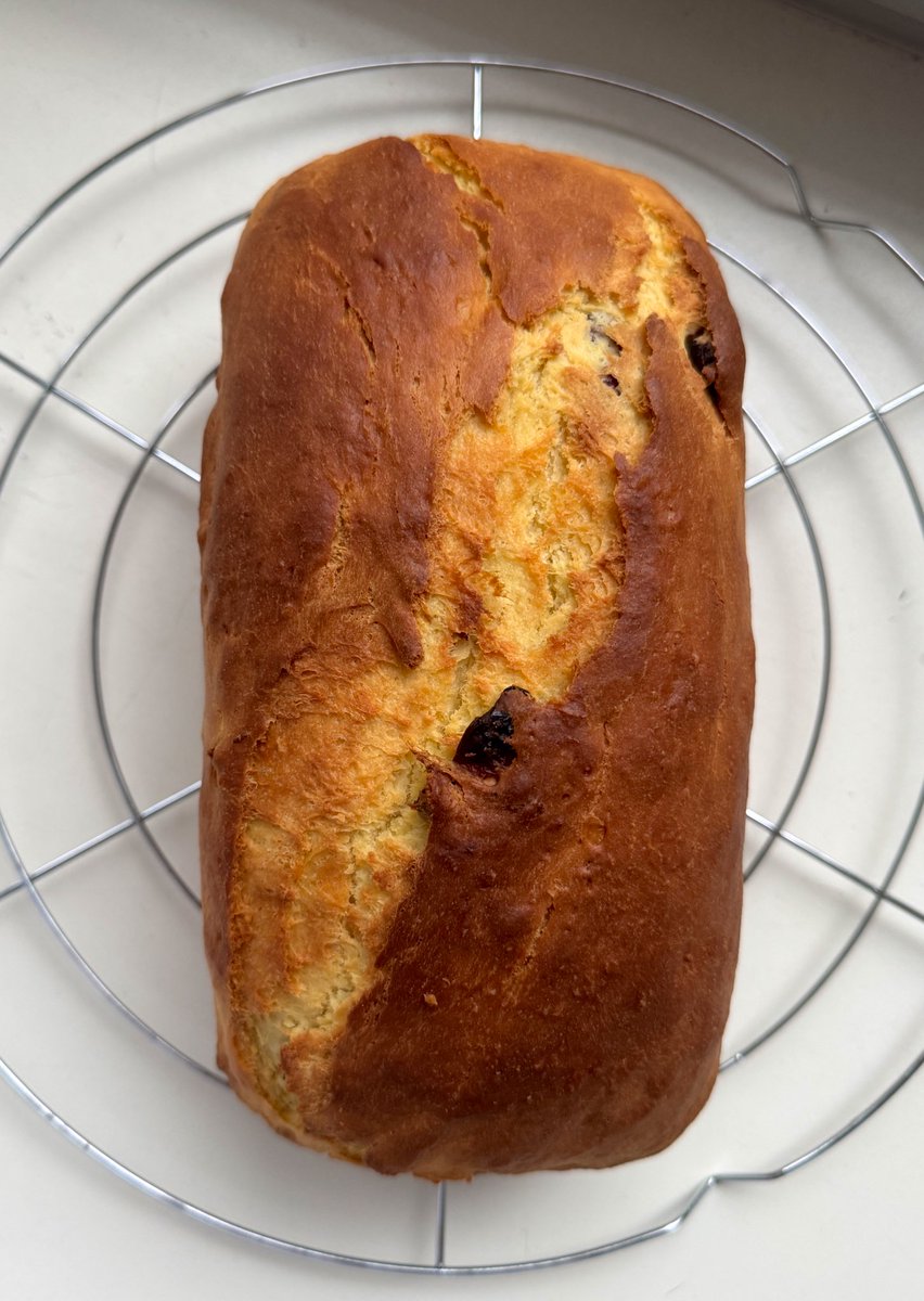 австрийская милка tweet media