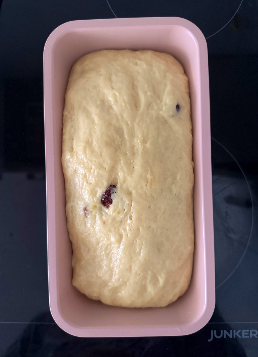 австрийская милка tweet media