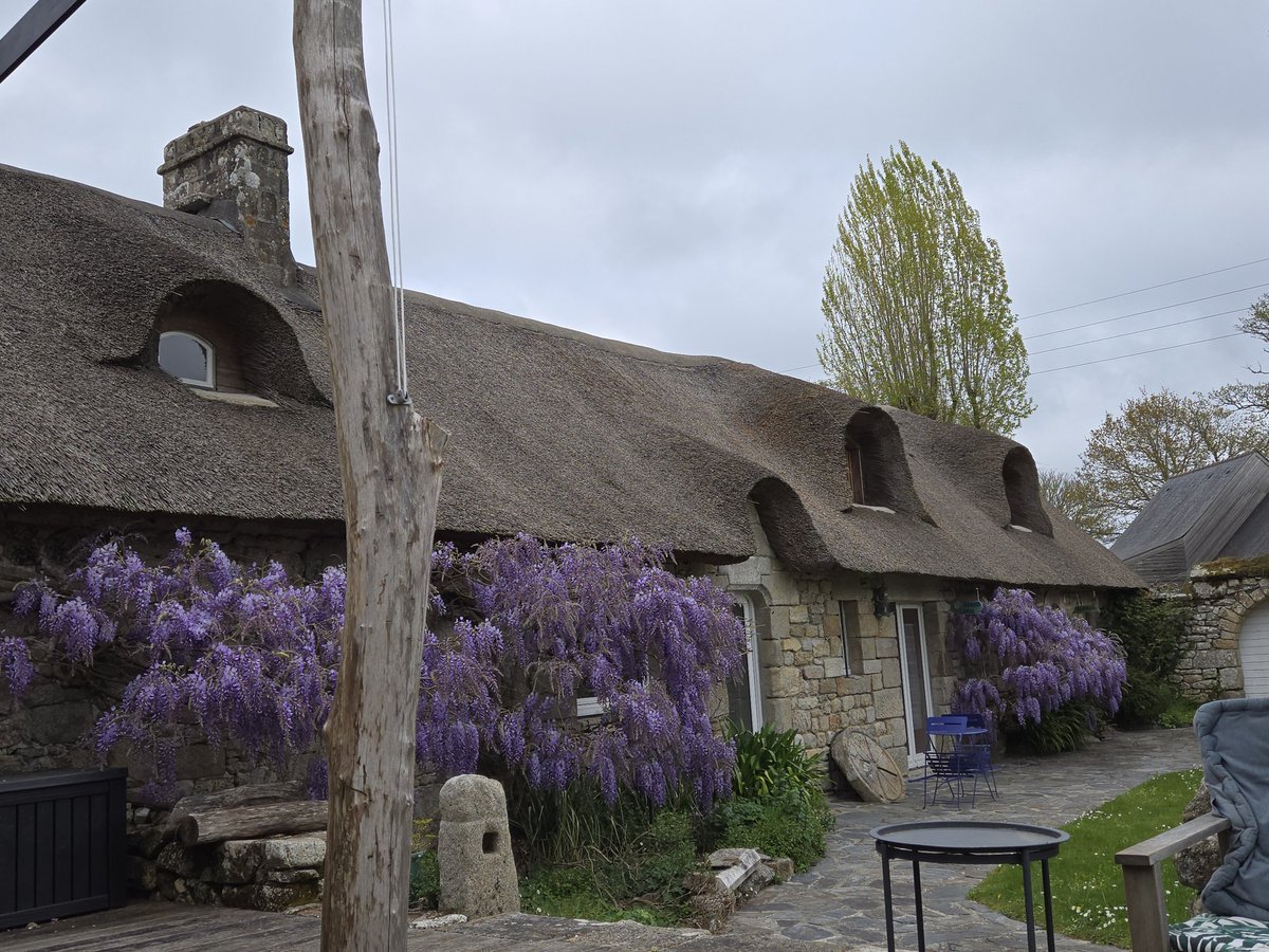 Jon Fraser tweet media