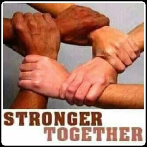 MLP 643 L(God's #1 fan) tweet media