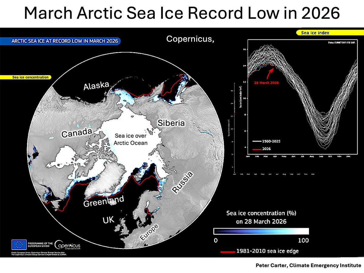 PCarterClimate's tweet image. ARCTIC WINTER SEA ICE RECORD LOW IN MARCH 2026
The Maximum winter sea ice extent as it refreezes from summer  was record low this March 2026, with 2025 second lowest.
(Copernicus, 3 April 2026) copernicus.eu/.../arctic-sea…...
#seaice #climatechange #globalwarming