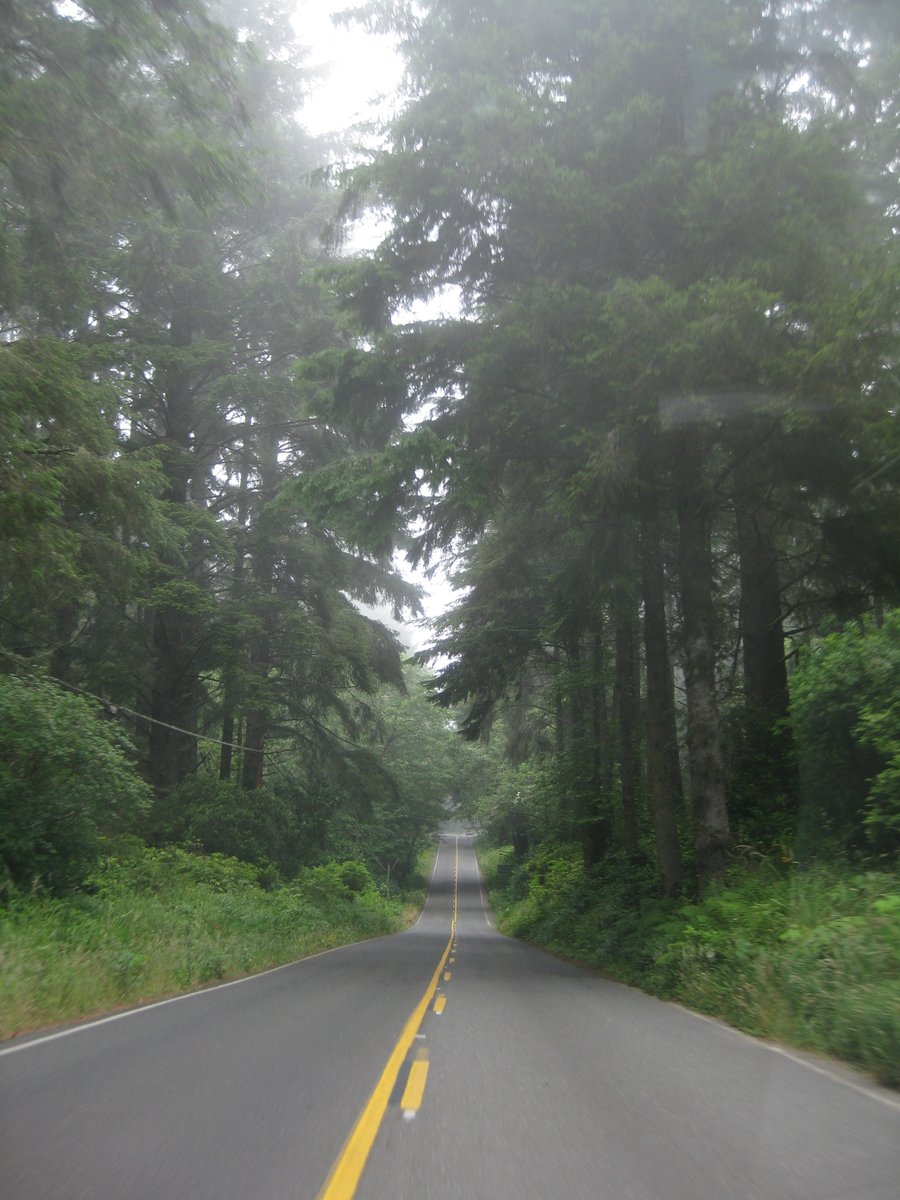 Red M4 F82 tweet media