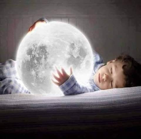 ╰☆☆ Mind Hacker ☆☆╰ tweet media