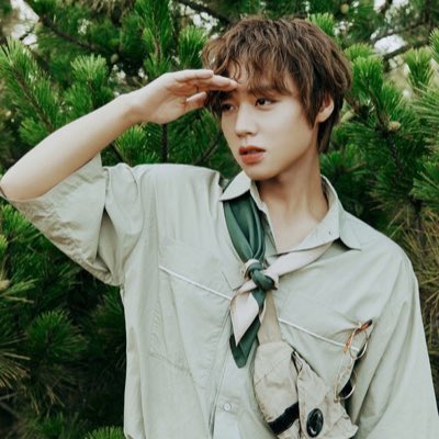 green .☘︎ ݁˖𖧧 / semi ia tweet media