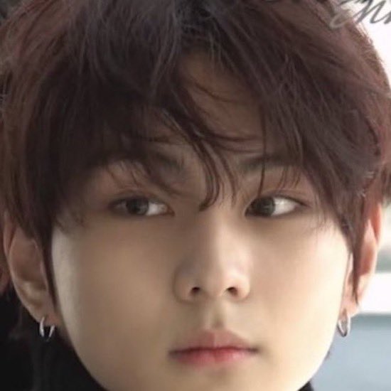 양동미 tweet media