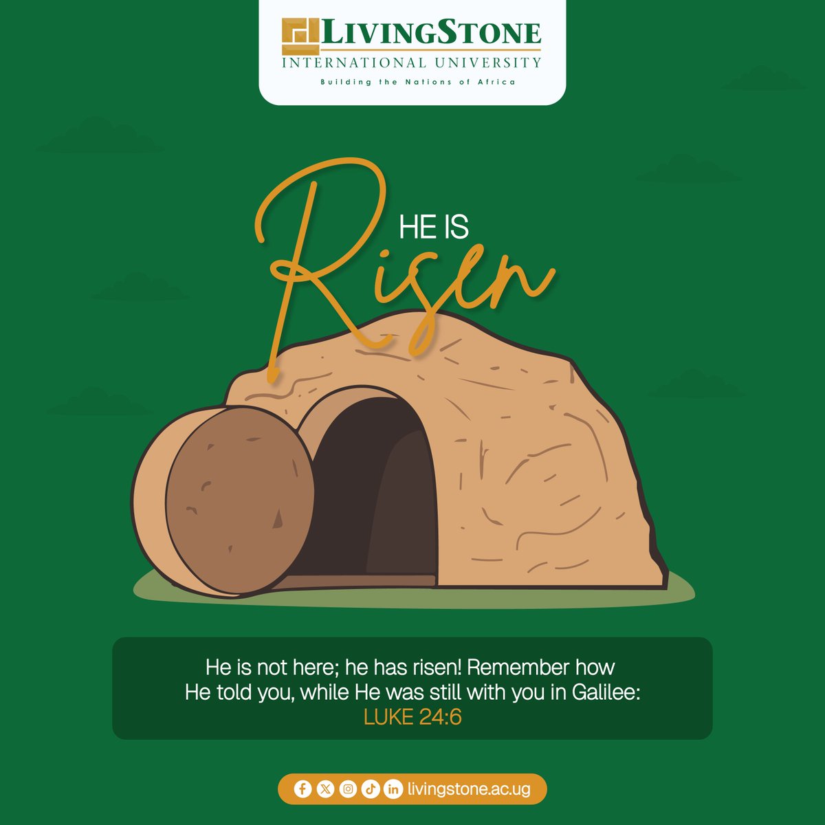 LivingStone International University tweet media