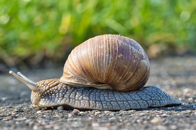 Ola Charlotte tweet media