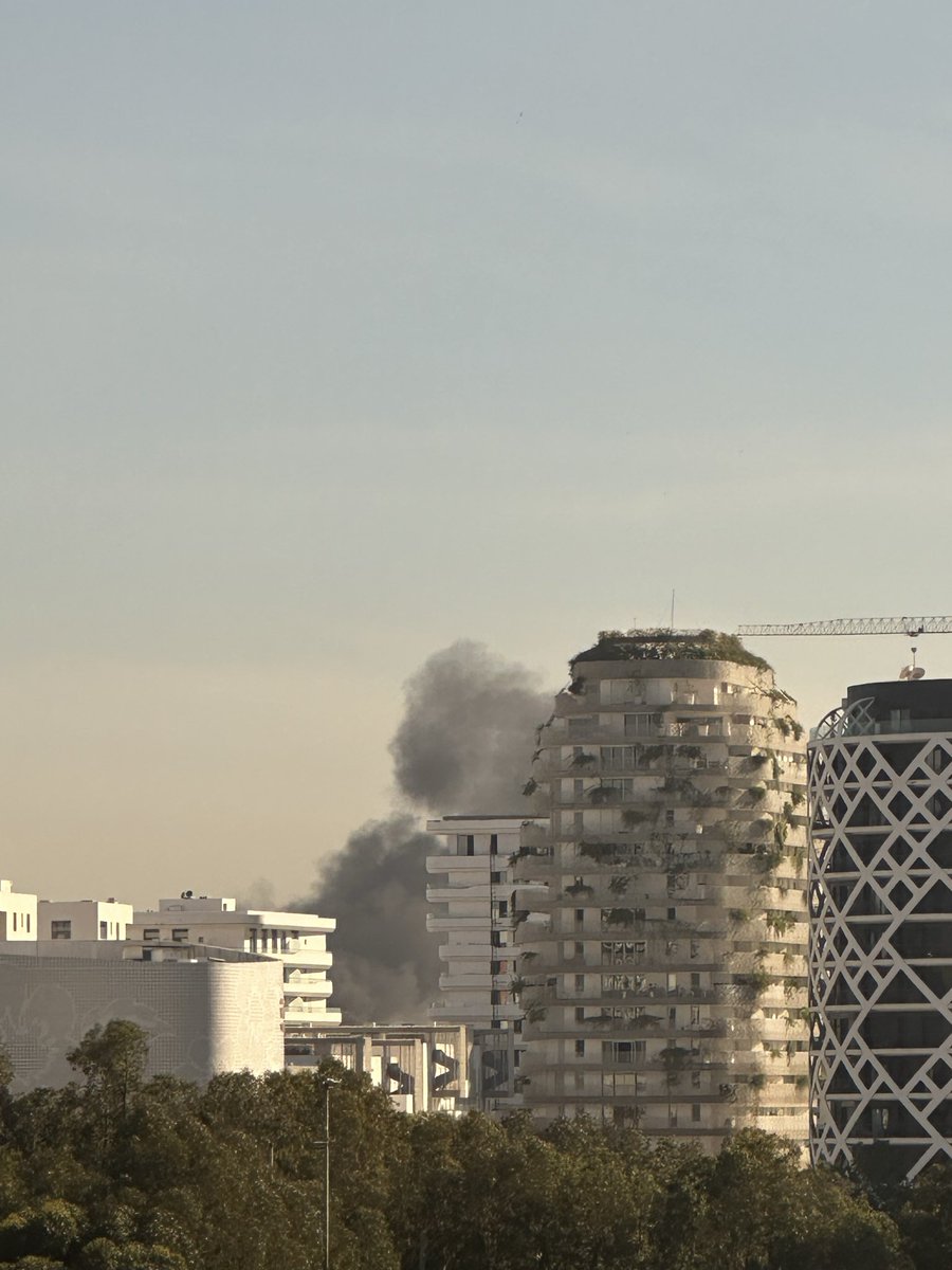 Mommy Shark tweet media