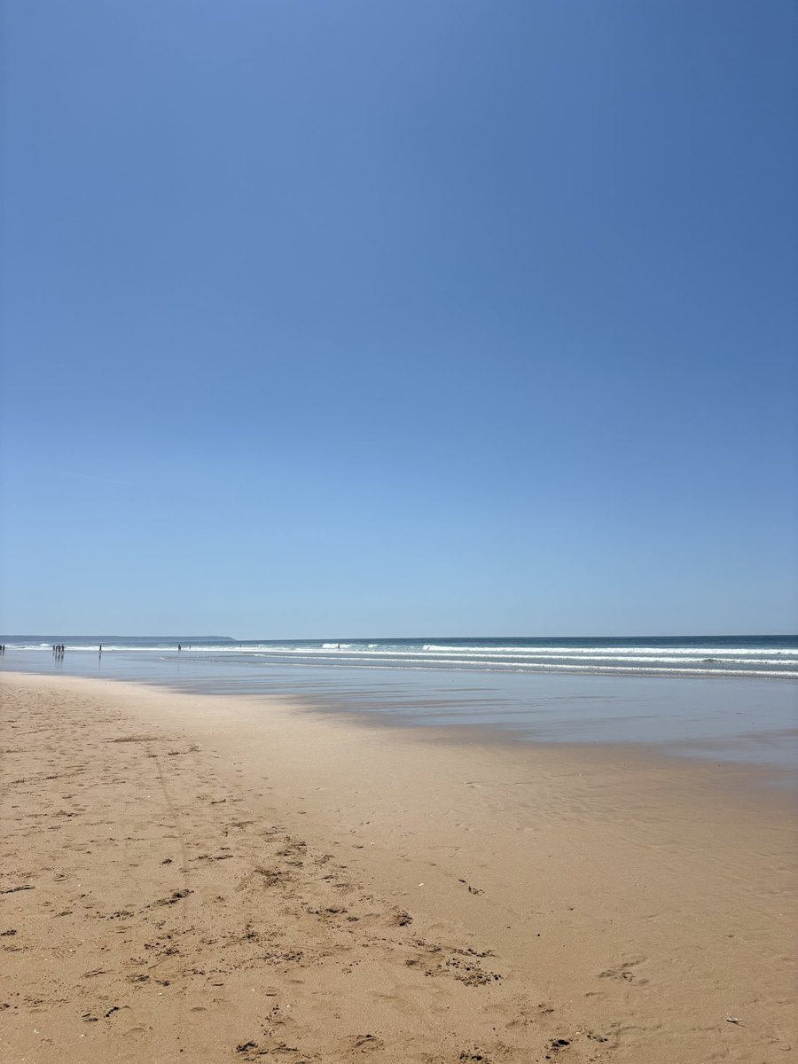 niña del sur🦎 tweet media