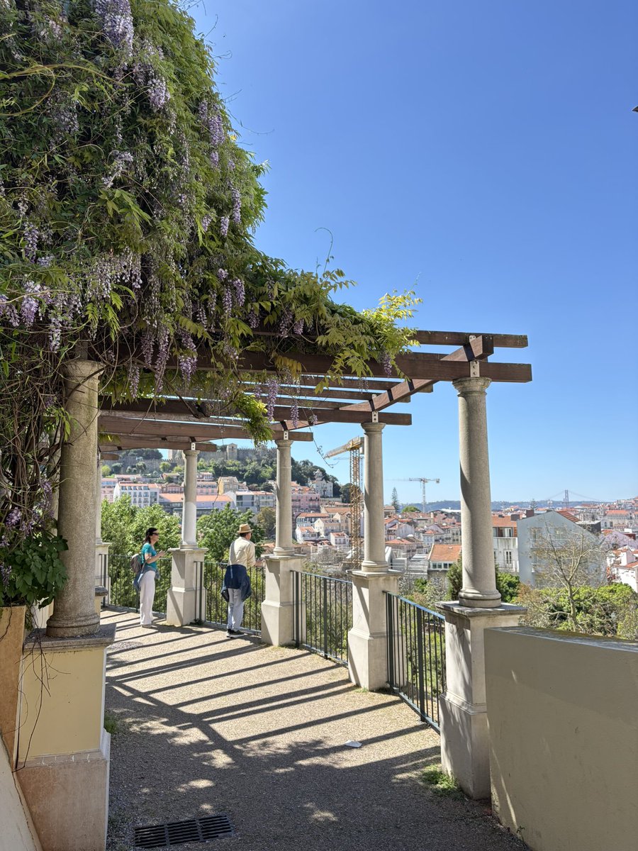 niña del sur🦎 tweet media