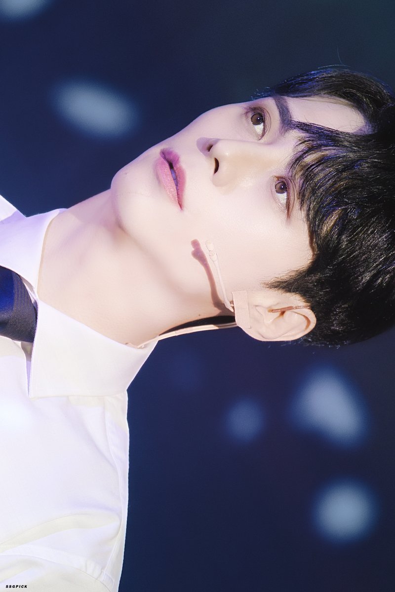 비엔나📷✨ tweet media