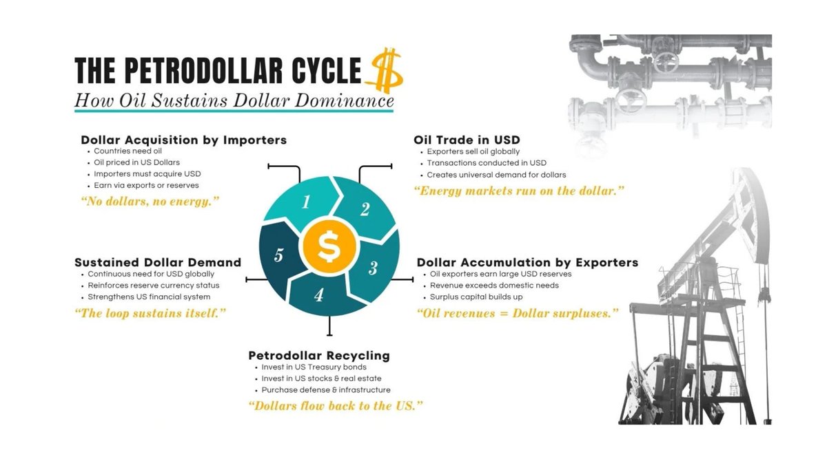 Bull Theory tweet media