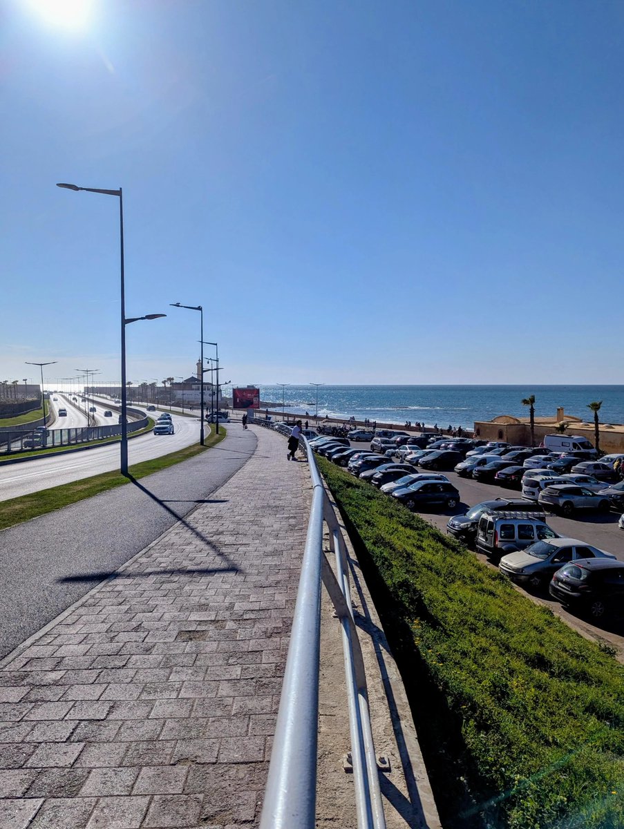 The D ☽⛤☾ tweet media