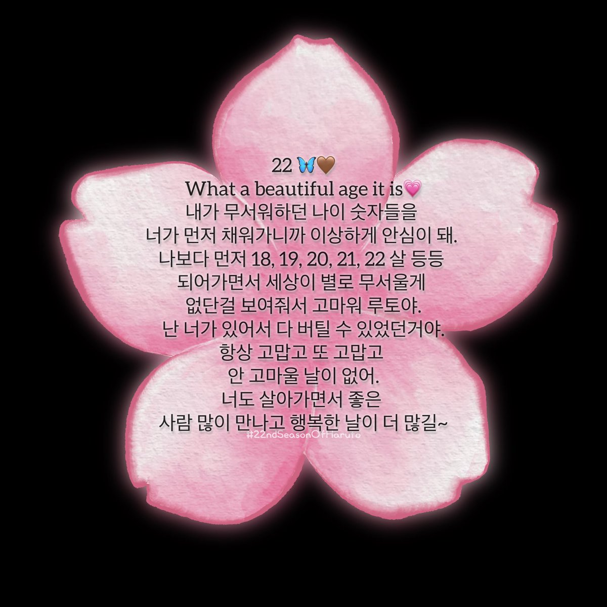 하노라 tweet media